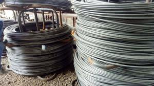 盤(pán)元，盤(pán)螺